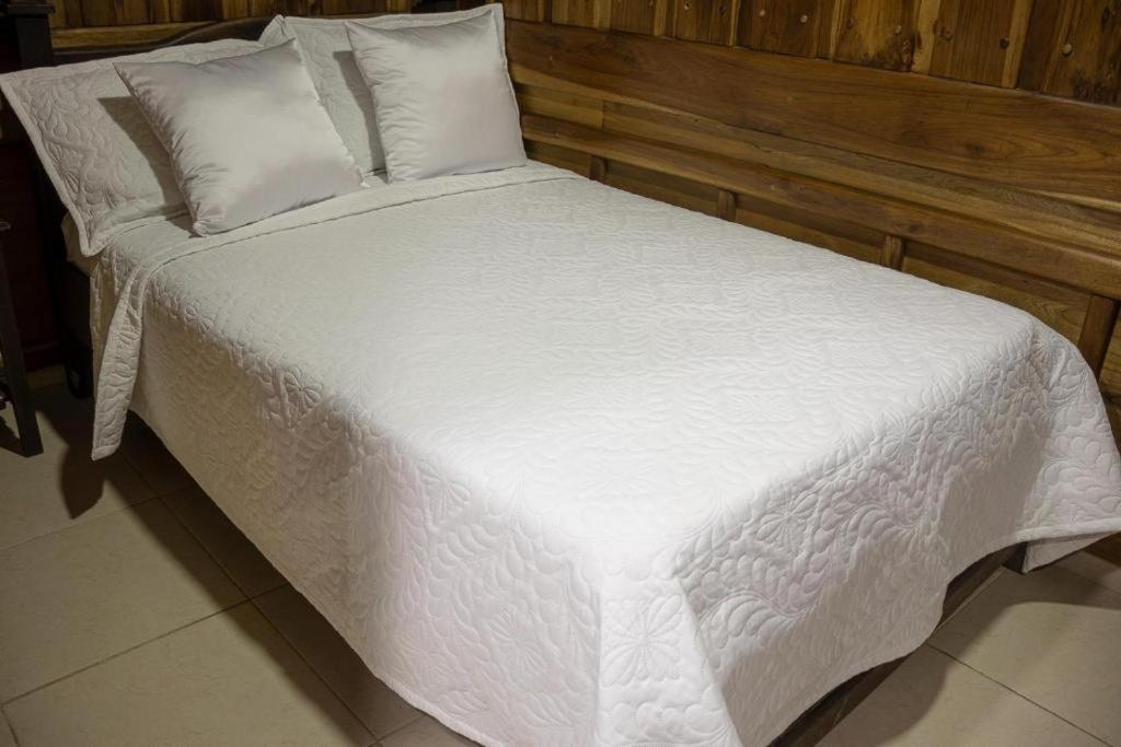 Ayenda Marana Hotel Manizales Eksteriør billede